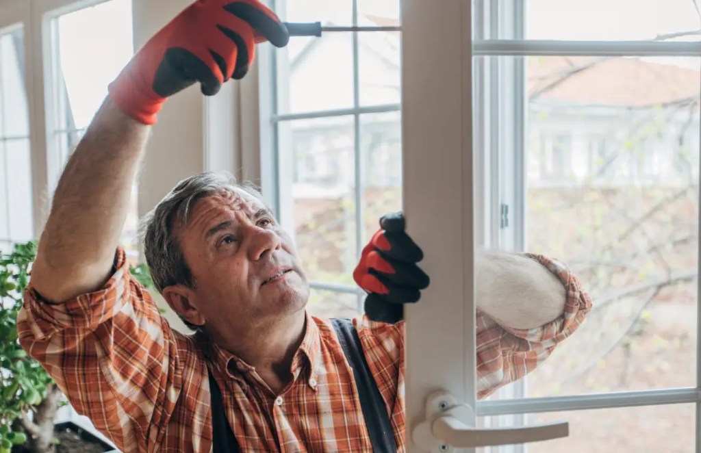 ¿Qué es Mejoravit?