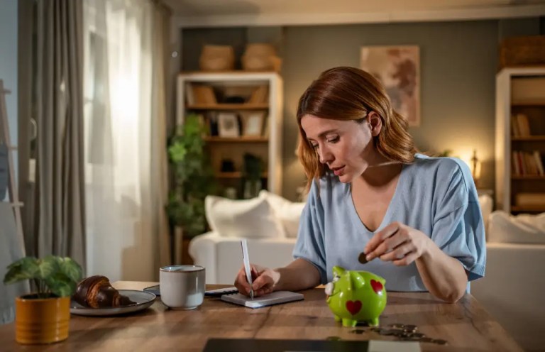 ¿Cómo funciona un fondo de inversión de deuda internacional?