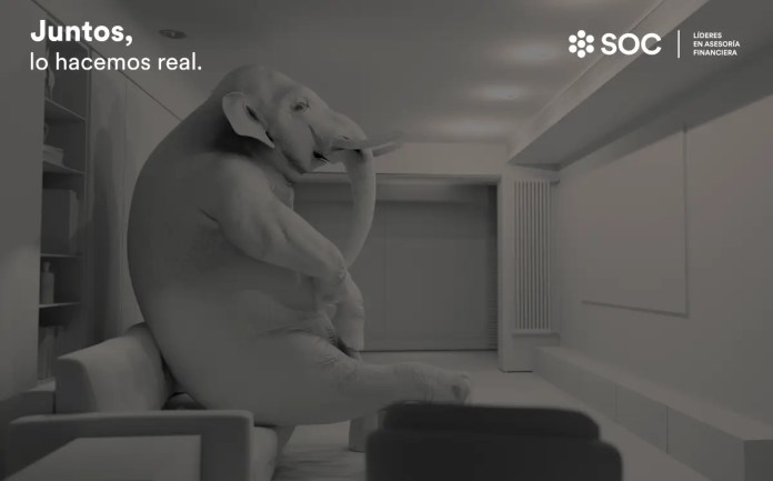 Realizar los estudios necesarios evitará que tengas un elefante blanco inmobiliario.